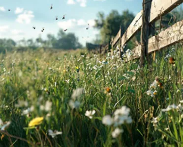 Anti-insectes & limaces