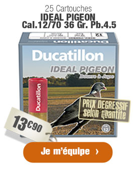 25 Cartouches IDEAL PIGEON Cal.12/70 36 Gr. Pb.4.5