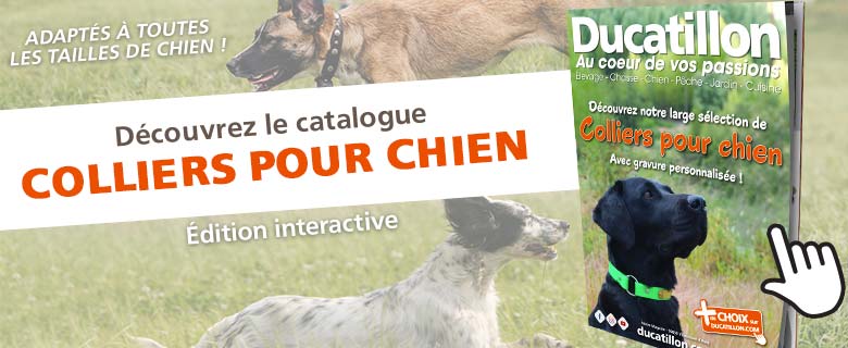 Catalogue colliers chien