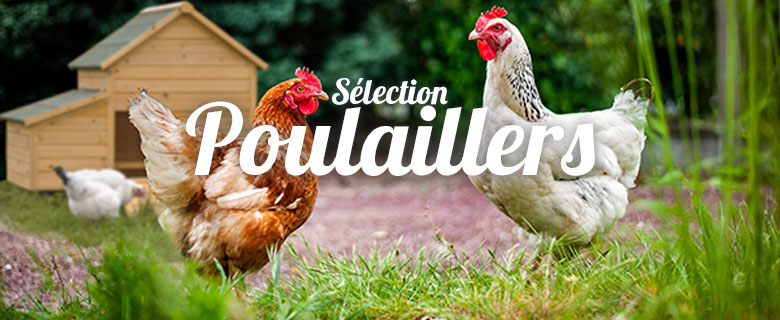 SÃ©lection poulaillers