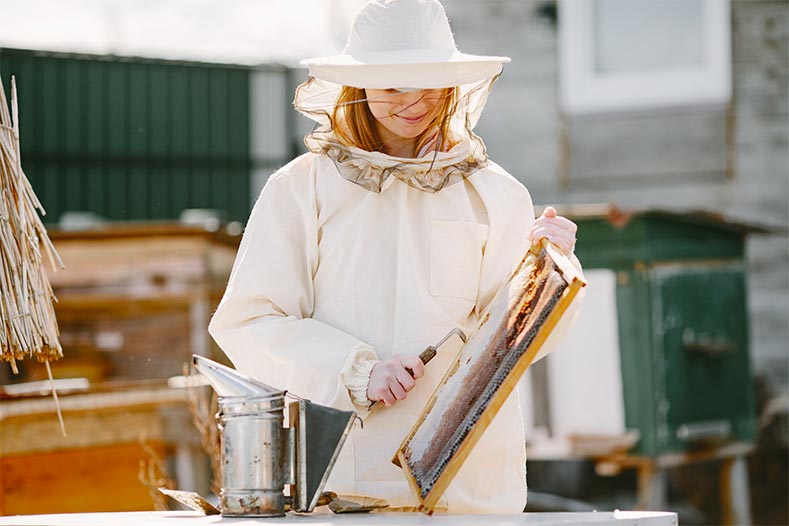 l'apiculture pour récolter le miel