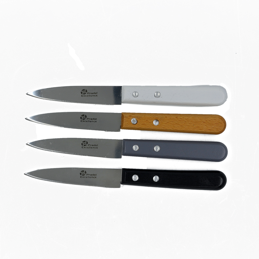 Planche à découper + 4 couteaux à usages différents -couleur