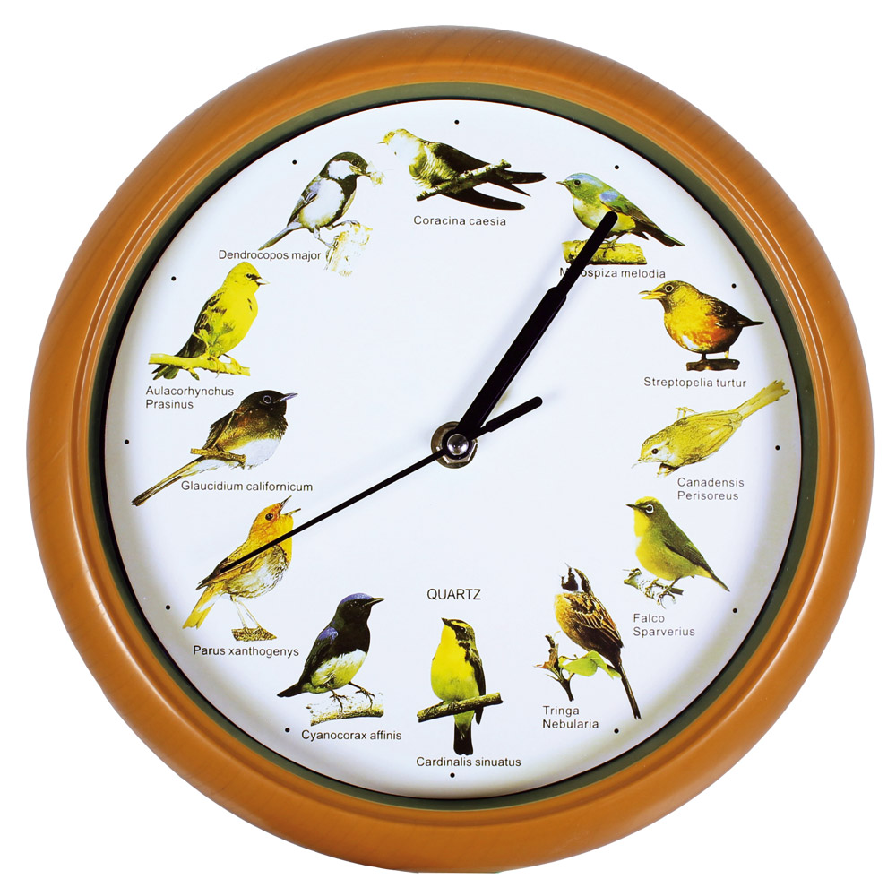 Horloge Sonore Murale Originale avec Chants d'Oiseaux 33cm 