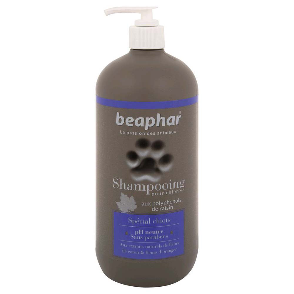 BEAPHAR – Shampoing premium pour chat & chaton – Aux extraits