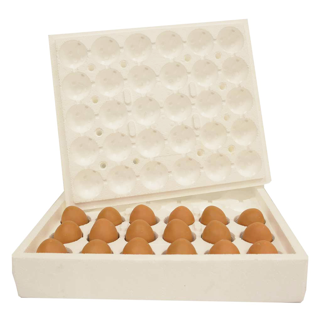 Des boîtes à œufs pour vos semis