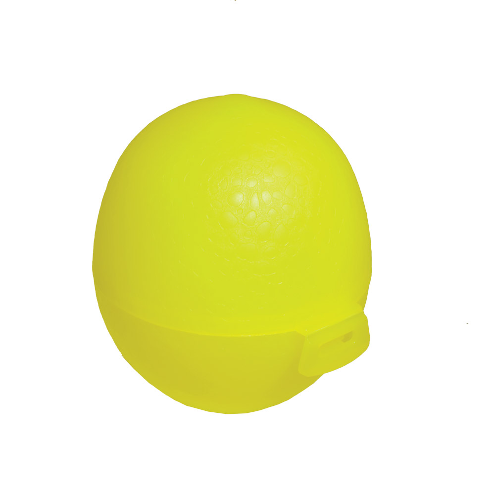 Boite a citron jaune plastique conservation transport